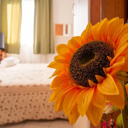 New Aurora Venice Bed & Breakfast *