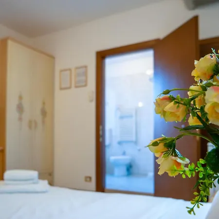 New Aurora Venice * マルゲーラ