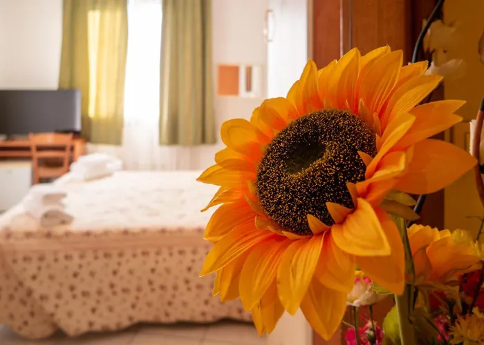 New Aurora Venice 住宿加早餐酒店 *