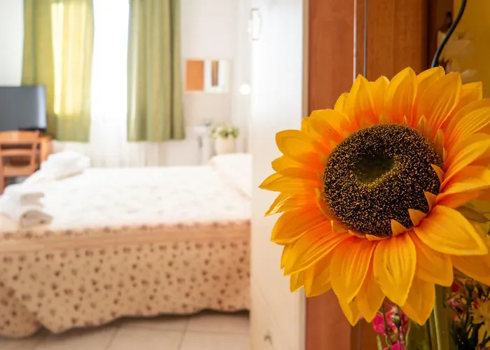 New Aurora Venice مارغيرا