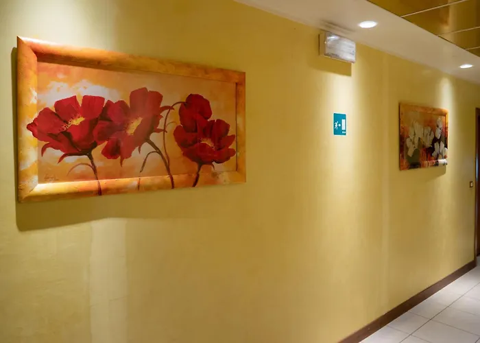 住宿加早餐酒店 New Aurora Venice 马格拉