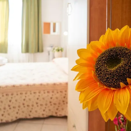 New Aurora Venice Marghera